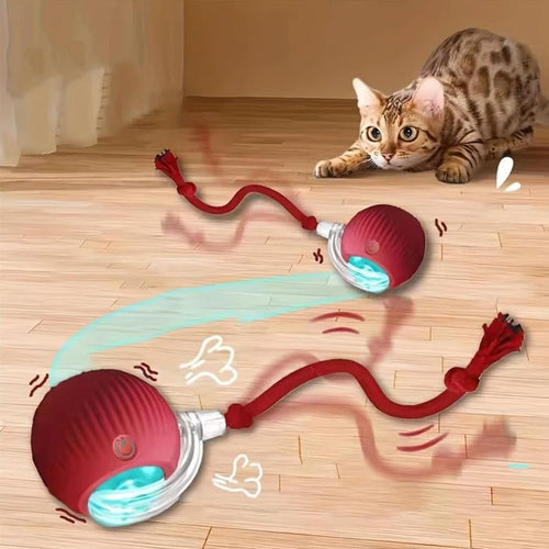 Interactive Cat Toy, Chirp and Motion Activated Cat Rolling Toy - Simply_Atlas